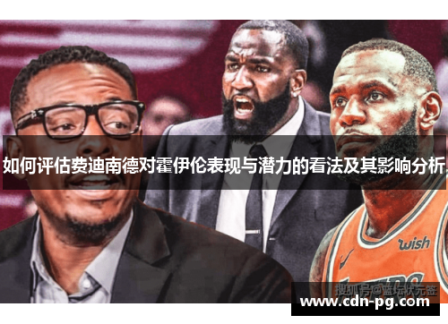 如何评估费迪南德对霍伊伦表现与潜力的看法及其影响分析