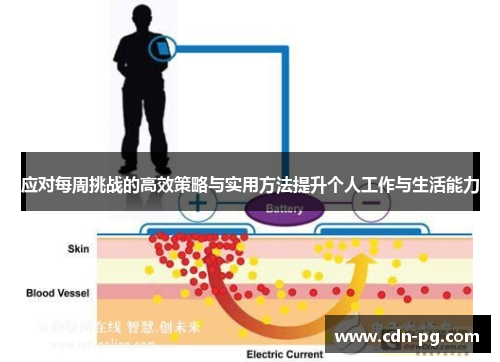 应对每周挑战的高效策略与实用方法提升个人工作与生活能力