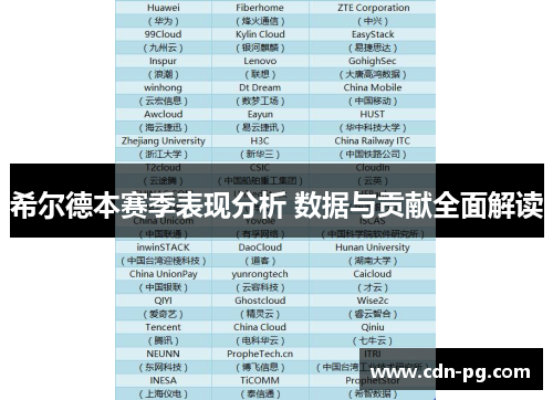 希尔德本赛季表现分析 数据与贡献全面解读