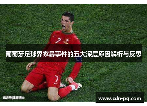 葡萄牙足球界家暴事件的五大深层原因解析与反思
