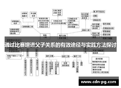 通过比赛增进父子关系的有效途径与实践方法探讨