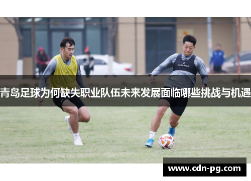 青岛足球为何缺失职业队伍未来发展面临哪些挑战与机遇