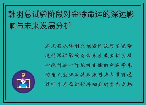 韩羽总试验阶段对金徐命运的深远影响与未来发展分析