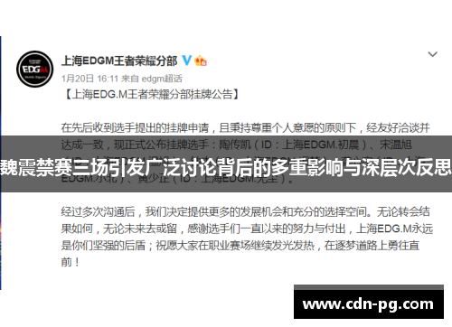 魏震禁赛三场引发广泛讨论背后的多重影响与深层次反思