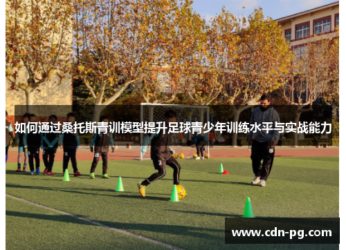 如何通过桑托斯青训模型提升足球青少年训练水平与实战能力