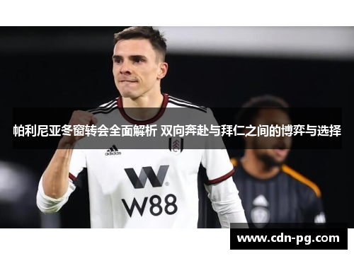 帕利尼亚冬窗转会全面解析 双向奔赴与拜仁之间的博弈与选择