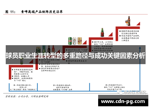 球员职业生涯转型的多重路径与成功关键因素分析