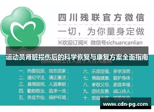 运动员肾脏损伤后的科学恢复与康复方案全面指南 运动员肾脏损伤后的科学恢复与康复方案全面指南