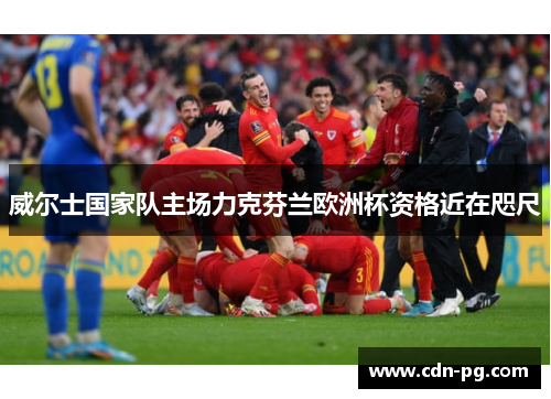 威尔士国家队主场力克芬兰欧洲杯资格近在咫尺